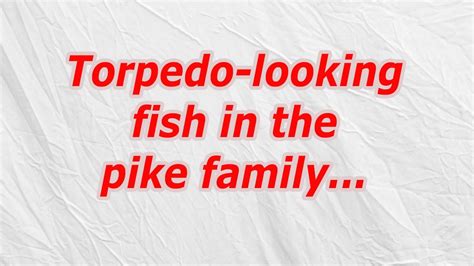 torpedo looking fish in the pike family|Torpedo looking fish in the pike family (CodyCross .